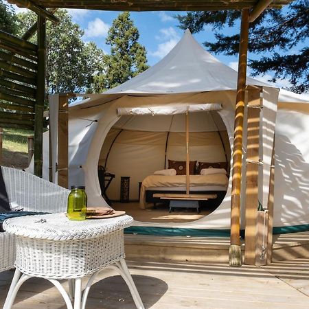 Kerikeri Glamping 호텔 외부 사진