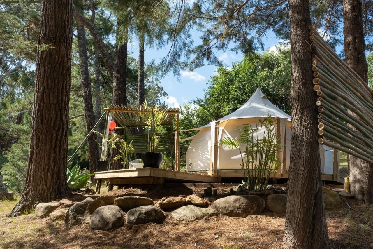 Kerikeri Glamping 호텔 외부 사진