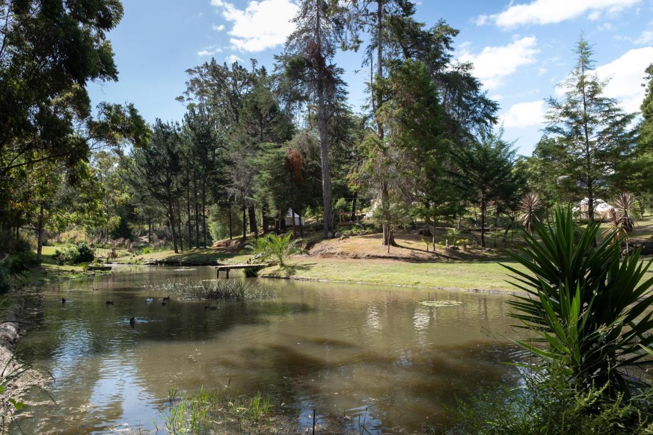 Kerikeri Glamping 호텔 외부 사진